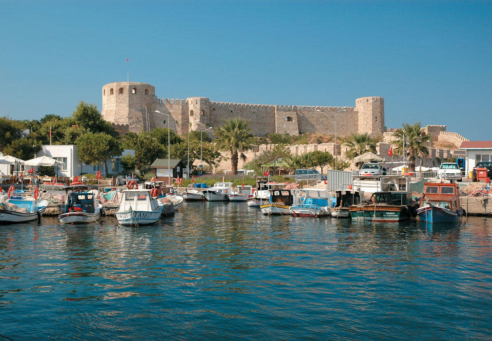 tenedos